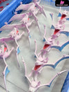 Pokémon Special Edition Aerodactyl GK Statue - RED ART Studio [In-Stock] Pokémon