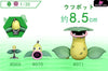 Pokemon - World Zukan Crobat/ Beedrill/ Butterfree/ Victreebel/ Venomoth/ Tentacruel/ Persian/