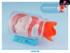 Ponyo on the Cliff Desktop Series Ponyo Bottle 1/1 GK Statue - CHIKARA Studio [Pre-Order] Miyazaki Anime