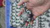 Pokémon Speical Brock & Geodude & Graveler & Kabutops GK Statue - RED ART Studio [In-Stock]