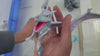Pokemon Special Edition Aerodactyl GK Statue - RED ART Studio [In-Stock]
