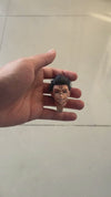 Jujutsu Kaisen 1st Sitting Fushiguro Megumi Sukuna Statue - Belief Studio [In-Stock]