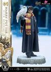 Prime Collectible Figures Harry Potter With Hedwig Pcfhp-03 - 1 Studio [Pre-Order] Full Payment /