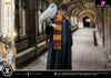 Prime Collectible Figures Harry Potter With Hedwig Pcfhp-03 - 1 Studio [Pre-Order] Others