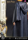 Prime Collectible Figures Harry Potter With Hedwig Pcfhp-03 - 1 Studio [Pre-Order] Others