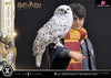 Prime Collectible Figures Harry Potter With Hedwig Pcfhp-03 - 1 Studio [Pre-Order] Others