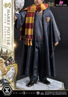 Prime Collectible Figures Harry Potter With Hedwig Pcfhp-03 - 1 Studio [Pre-Order] Others