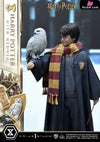 Prime Collectible Figures Harry Potter With Hedwig Pcfhp-03 - 1 Studio [Pre-Order] Others