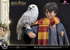 Prime Collectible Figures Harry Potter With Hedwig Pcfhp-03 - 1 Studio [Pre-Order] Others