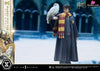 Prime Collectible Figures Harry Potter With Hedwig Pcfhp-03 - 1 Studio [Pre-Order] Others