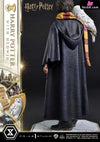 Prime Collectible Figures Harry Potter With Hedwig Pcfhp-03 - 1 Studio [Pre-Order] Others