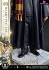 Prime Collectible Figures Harry Potter With Hedwig Pcfhp-03 - 1 Studio [Pre-Order] Others