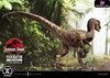 Prime Collectible Figures Jurassic Park (Film) Velociraptor Open Mouth Pcfjp-07 - 1 Studio