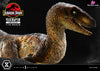 Prime Collectible Figures Jurassic Park (Film) Velociraptor Open Mouth Pcfjp-07 - 1 Studio