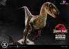 Prime Collectible Figures Jurassic Park (Film) Velociraptor Open Mouth Pcfjp-07 - 1 Studio