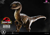 Prime Collectible Figures Jurassic Park (Film) Velociraptor Open Mouth Pcfjp-07 - 1 Studio