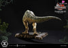 Prime Collectible Figures Jurassic Park Iii (Film) Tyrannosaurus-Rex Pcfjp-05 - 1 Studio