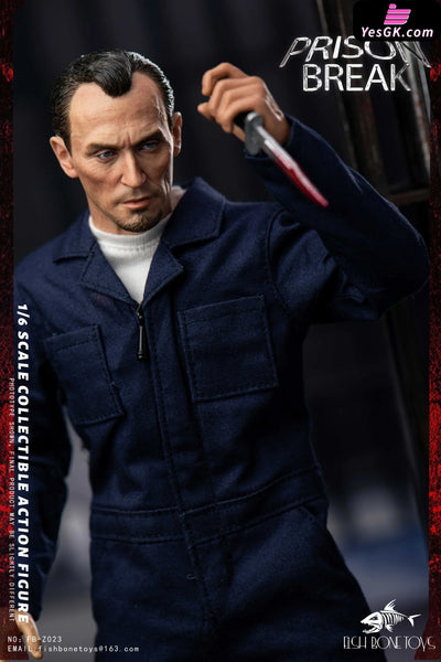 Prison Break Michael & tbag & Double set & Magnetic Opening and Closing Prison Scene 1/6 scale action figure FB - FISH