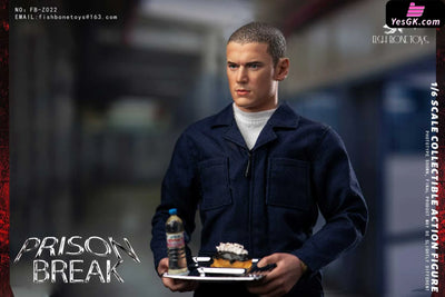 Prison Break Michael & tbag & Double set & Magnetic Opening and Closing Prison Scene 1/6 scale action figure FB - FISH