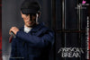 Prison Break Michael & tbag & Double set & Magnetic Opening and Closing Prison Scene 1/6 scale action figure FB - FISH