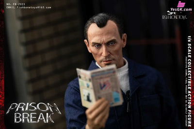 Prison Break Michael & tbag & Double set & Magnetic Opening and Closing Prison Scene 1/6 scale action figure FB - FISH