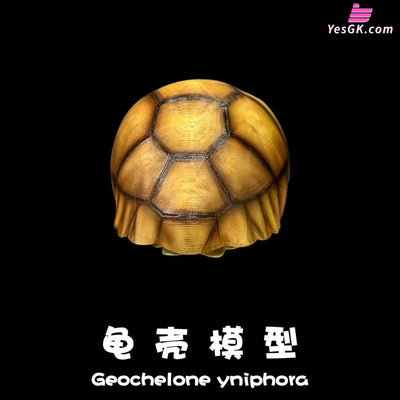 Realistic Tortoise Shell: Angonoka Art Toys - Natural Science Book Studio [In-Stock] - Others
