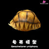 Realistic Tortoise Shell: Angonoka Art Toys - Natural Science Book Studio [In-Stock] - Others