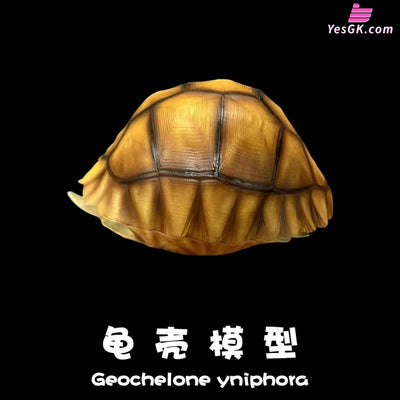 Realistic Tortoise Shell: Angonoka Art Toys - Natural Science Book Studio [In-Stock] - Others
