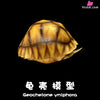 Realistic Tortoise Shell: Angonoka Art Toys - Natural Science Book Studio [In-Stock] - Others