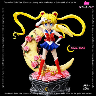 Sailor Moon Sailormoon Tsukino Usagi Resin Statue - Tt Studio [Pre-Order Closed]