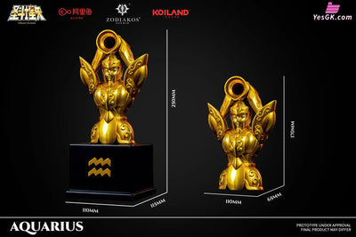 Saint Seiya Aquarius Cloth Form Statue - Zodiakos Studio [Pre - Order]