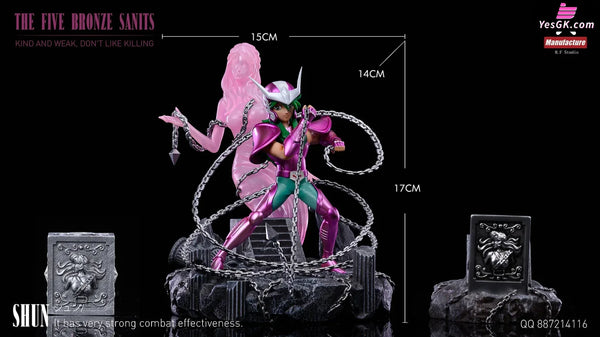 Saint Seiya Bronze Saint Andromeda Shun GK Statue - MF X MKE Studio [In-Stock] Full Payment Saint Seiya