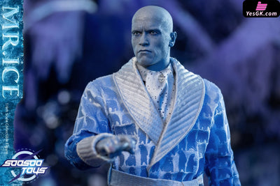 DC SST-057 Mr. Freeze Action Figure - Soosootoys Studio [Cancel Production] DC Comics