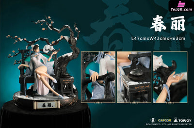 Street Fighter Street Fighter Chun-Li (Licensed) Statue - Avalon Continent Studio [Pre-Order] Other