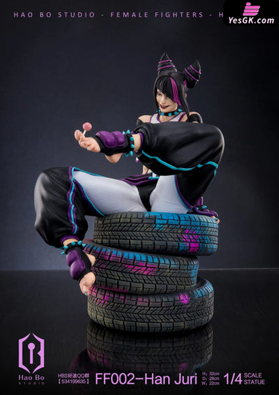Street Fighter Female Han Juri Resin Statue - Hao Bo Studio [Pre-Order]