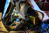 Star Craft Artanis 2.0 Statue - Mayflies Studio & Sunbird Studio [Pre - Order] Others