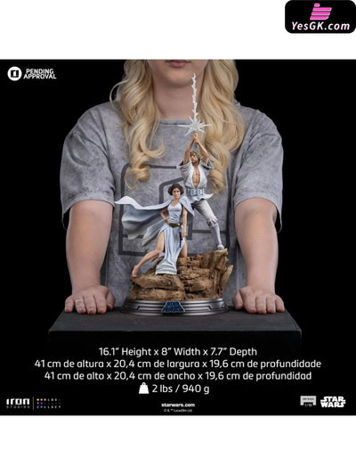 Star Wars 1/10Luke and Leia Statue LUCSWR115624-10 (Licensed) - Iron Studio [Pre-Order Closed] Star Wars