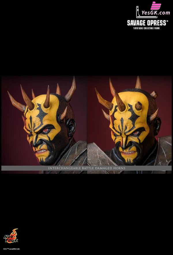 Star Wars: The Clone Wars Savage Opress 1/6 Scale Collectible Figure Tms136 - Hottoys Studio