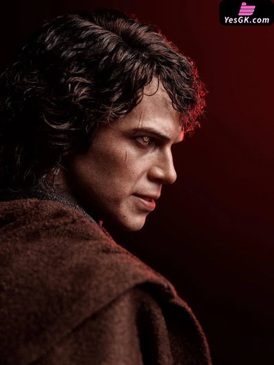 Star Wars TP026 Anakin Skywalker Dark Side Version with Moving Eyes & Robe & Genuine Leather Vest Accessories - TOPO