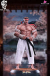 Street Fighter Martial Arts Duel Ryu Statue - Hot Boys Studio [Pre-Order] Deposit