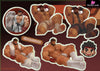 Street Fighter Ryu Summer Collector’s Edition Gift Box Peripheral - CHOC Studio [Pre-Order] Street Fighter