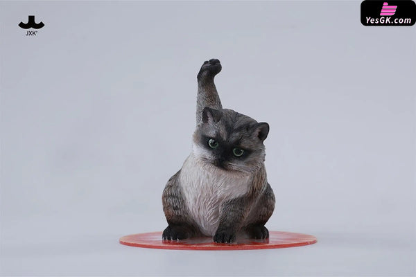 Super Cat JXK286 ABCD (Licensed) Art Toys - JXK Studio [Pre-Order] Full Payment / C Others
