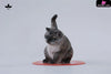 Super Cat JXK286 ABCD (Licensed) Art Toys - JXK Studio [Pre-Order] Others