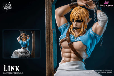 The Legend Of Zelda Link Statue - Dick Studio [Pre-Order]