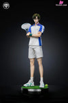 The Prince Of Tennis Resonance Series Syusuke Fuji Kunimitsu Tezuka Resin Statue - Diamond Studio