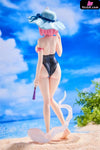 Touhou Project Konpaku Youmu & Saigyouji Yuyuko Swimsuit Figure Statue - Toufou Studio [Pre-Order]