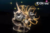 Touhou Project Marisa Kirisame Statue - ACGN 02 Studio [Pre-Order] - Touhou Project