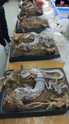 Unknown Creature 004 Yingkou Fallen Dragon (Licensed) Statue - Aphid Studio [In-Stock] Others