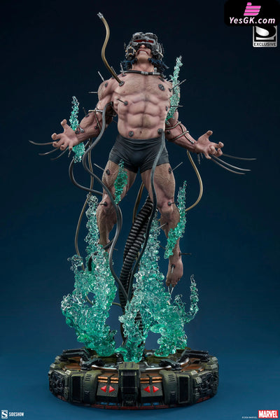 Wolverine: Weapon X Premium Format Figure (Licensed) - Sideshow Collectibles [Pre-Order] Others