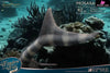 Wonders Of The Wild Series Mosasaurus Sean Cooper Sa5041 Sa5042 Statue - Star Ace Toys Studio